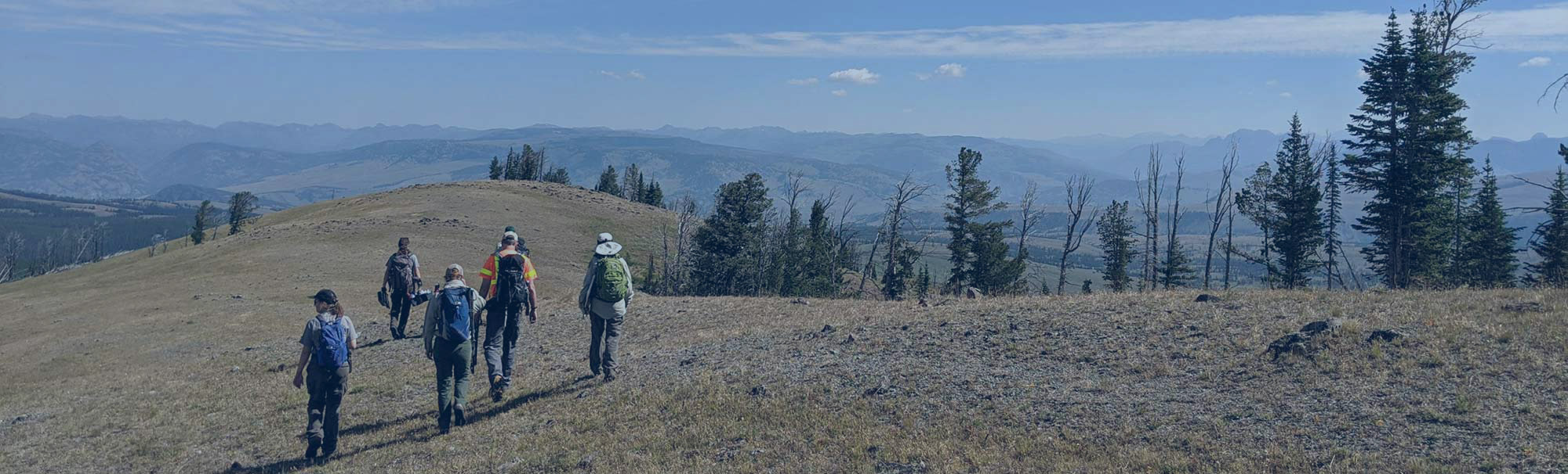 Hikers head to a hill's summit.