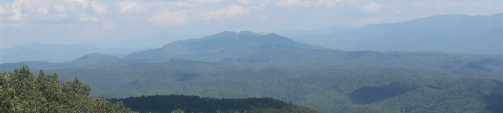 A view of trees in a mountain valley.