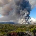 A controlled burn of central marine chaparral conducted by the U.S. Army Corps of Engineers at Fort Ord, Cal., on October 14, 2013. Credit, U.S. Army.