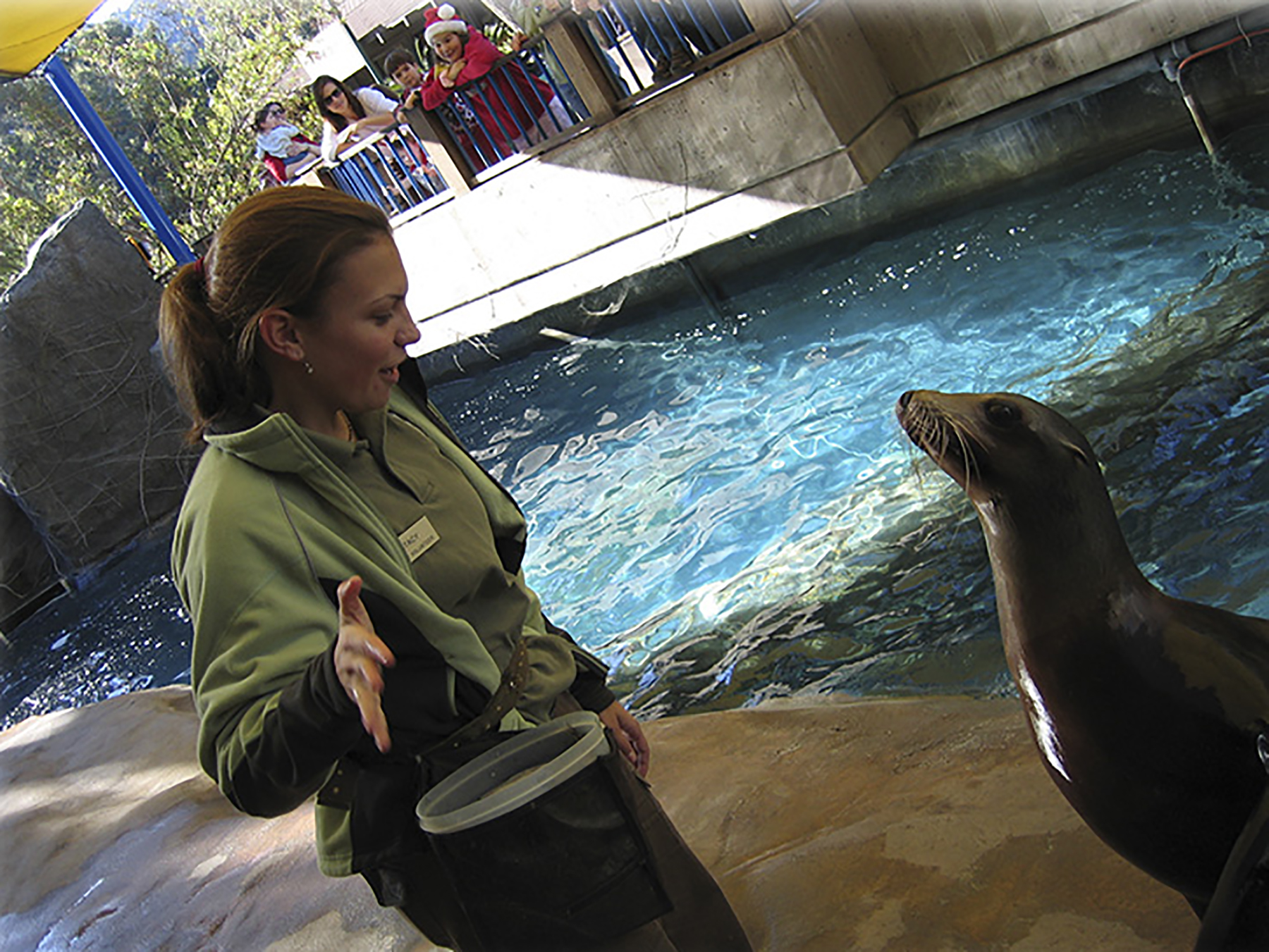 myscicomm_SAKruegerHadfield_sea lions.jpg