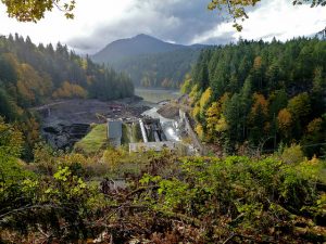 The Elwha River pours through the remains of the Elwha Dam in Washington State’s Olympic National Park on October 23, 2011. The river ecosystem and former reservoir beds have recovered quickly after demolition of the two dams on the river. <i>Credit Kate Benkert, <a href=“https://flic.kr/p/aMrEQD”>USFWS</a></i>.