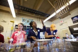 Volunteers for Smithsonian's Biocube project sort and identify specimens for a biodiversity survey. Credit, Carolyn A. F. Enquist.