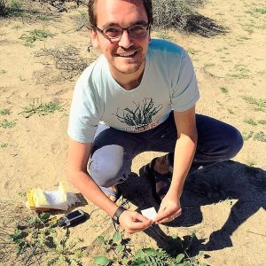 Daniel Winkler collects plant tissue samples for genomic analyses to uncover the spread of the invasive Sahara mustard in Anza-Borrego Desert State Park, California in February 2015. Credit: Susan Gilliland.