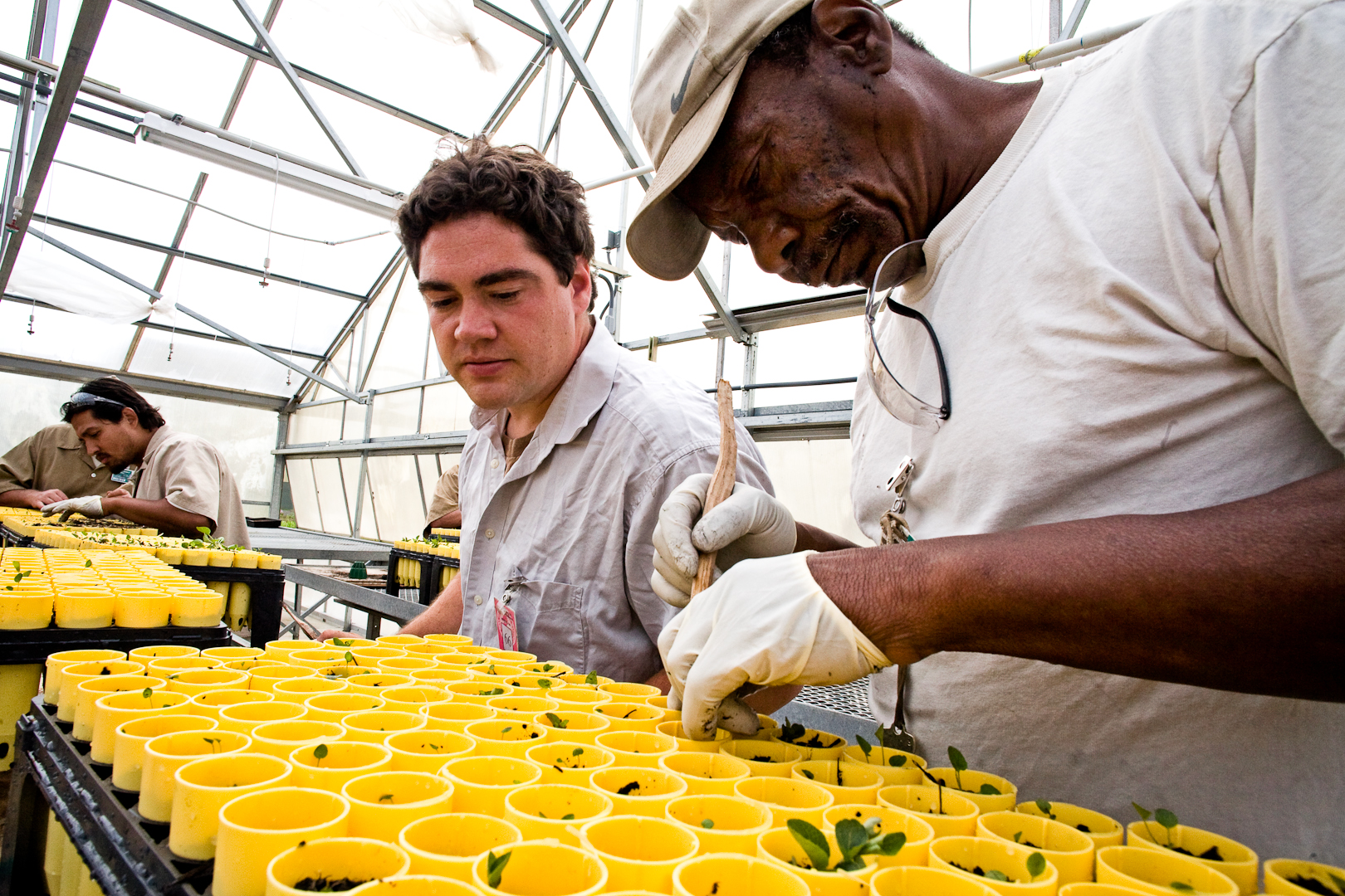 An inmate at Stafford Creek Corrections Center and conservation biologist with The Nature Conservancy together grow rare prairie plants for an ecological restoration project in western Washington. Credit, Sustainability in Prisons Project.