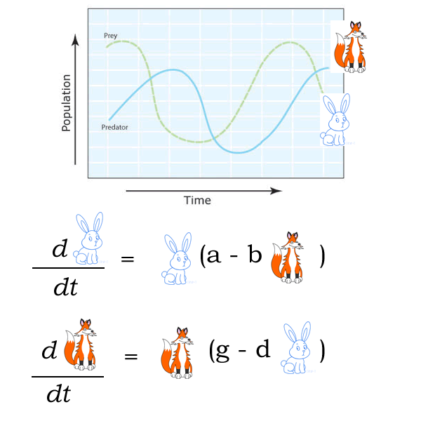 Lotka-Volterra predator-prey equations.