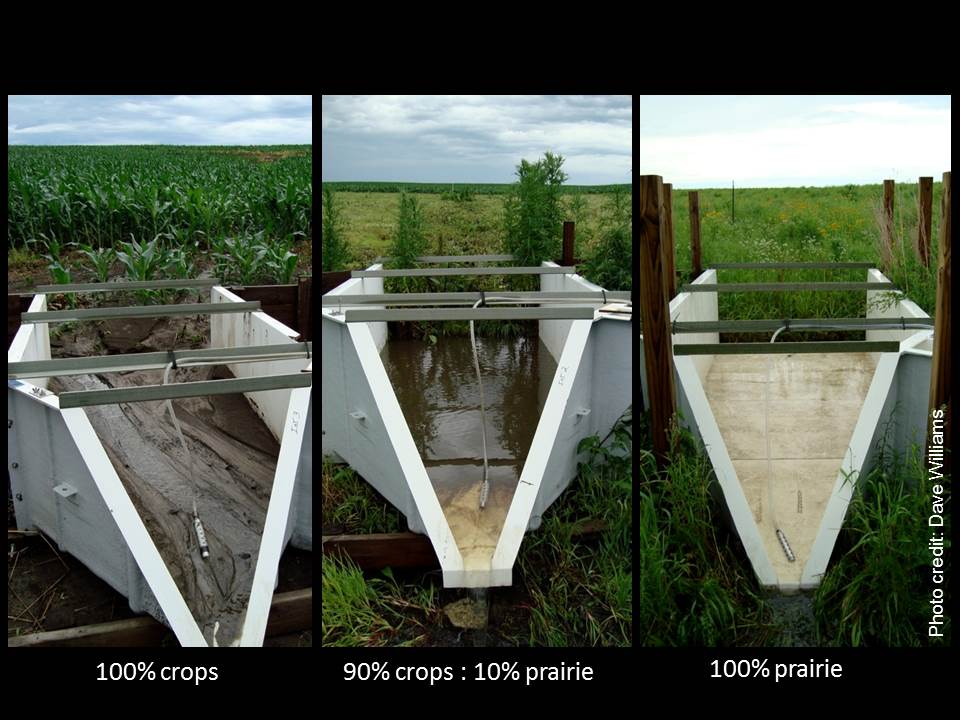 "Soil erosion....or not" Schulte Moore STRIPS credit Dave Williams