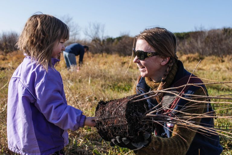 volunteer replanting with Great River Greening