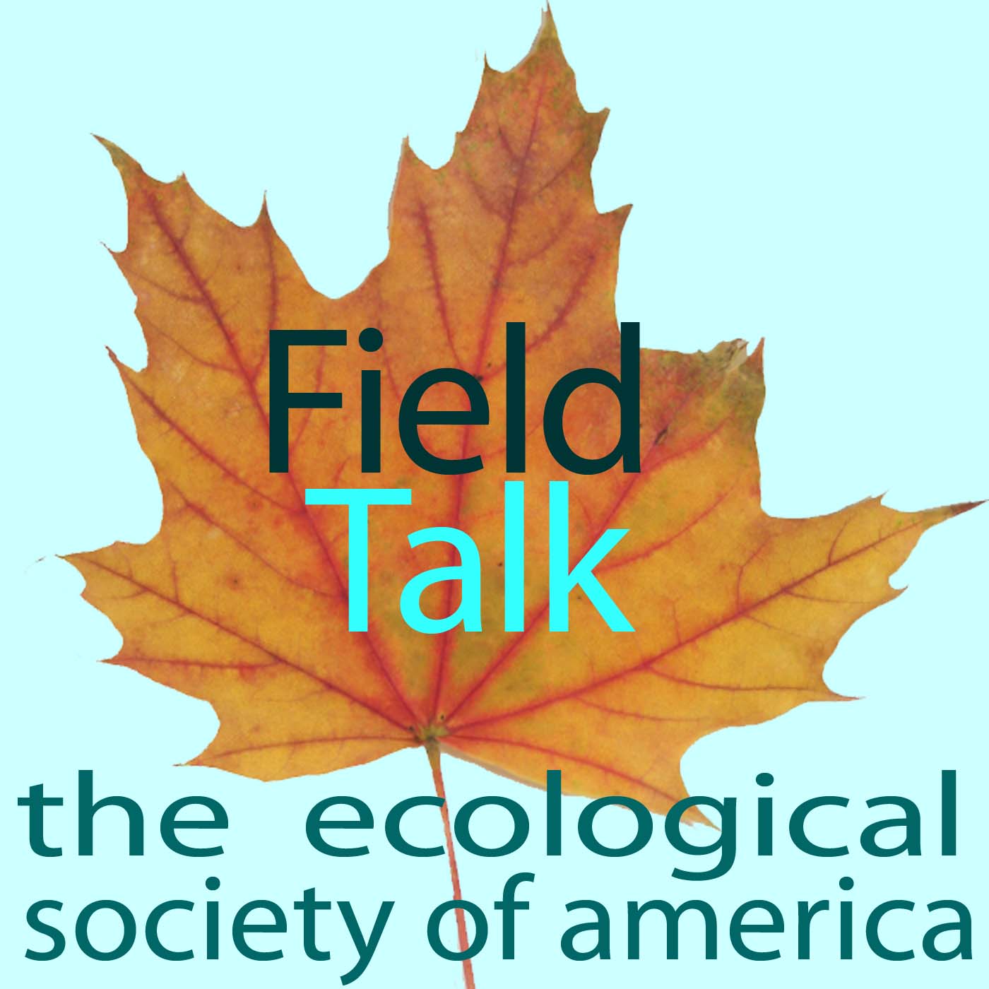 Listen to Field Talk