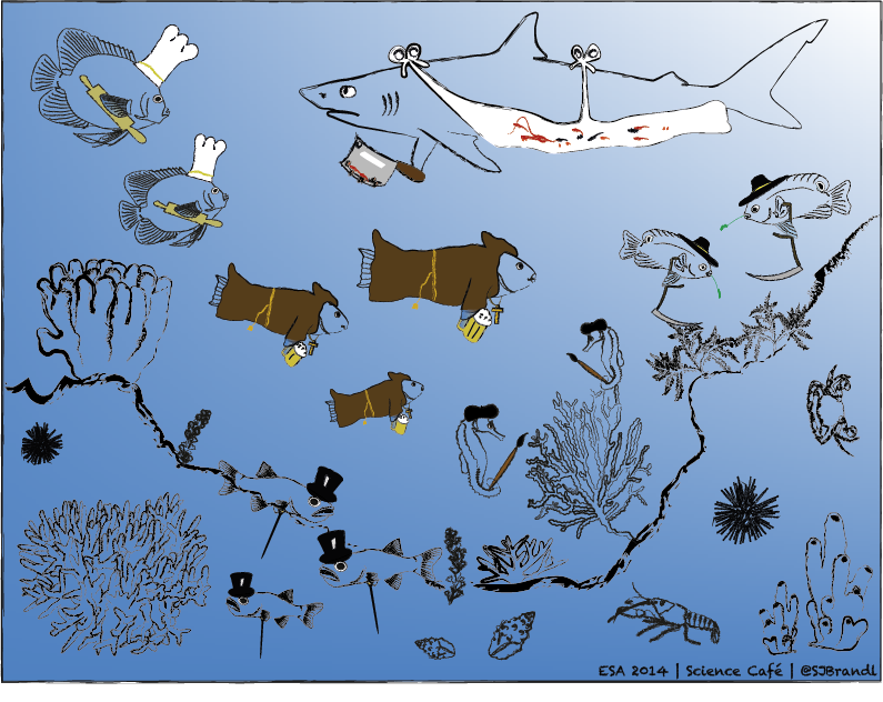 Butcher, baker, and brewer. This image illustrates the strikingly simple but powerful analogy between man-made and natural systems. By looking at the functional structure of coral reef fish communities through a human eye, we find butchers, bakers, and brewers, but also diligent, cranky farmerfish, visually pleasing but ecologically negligible aesthetes, or worthless aristocrats. Using this approach, we can begin to answer some of the most pressing questions in coral reef biology. What are the origins and future trajectories of coral reefs and their fishy inhabitants? How do humans affect this perfectly balanced market? And do more brewers really make a happier system? Simon J. Brandl.