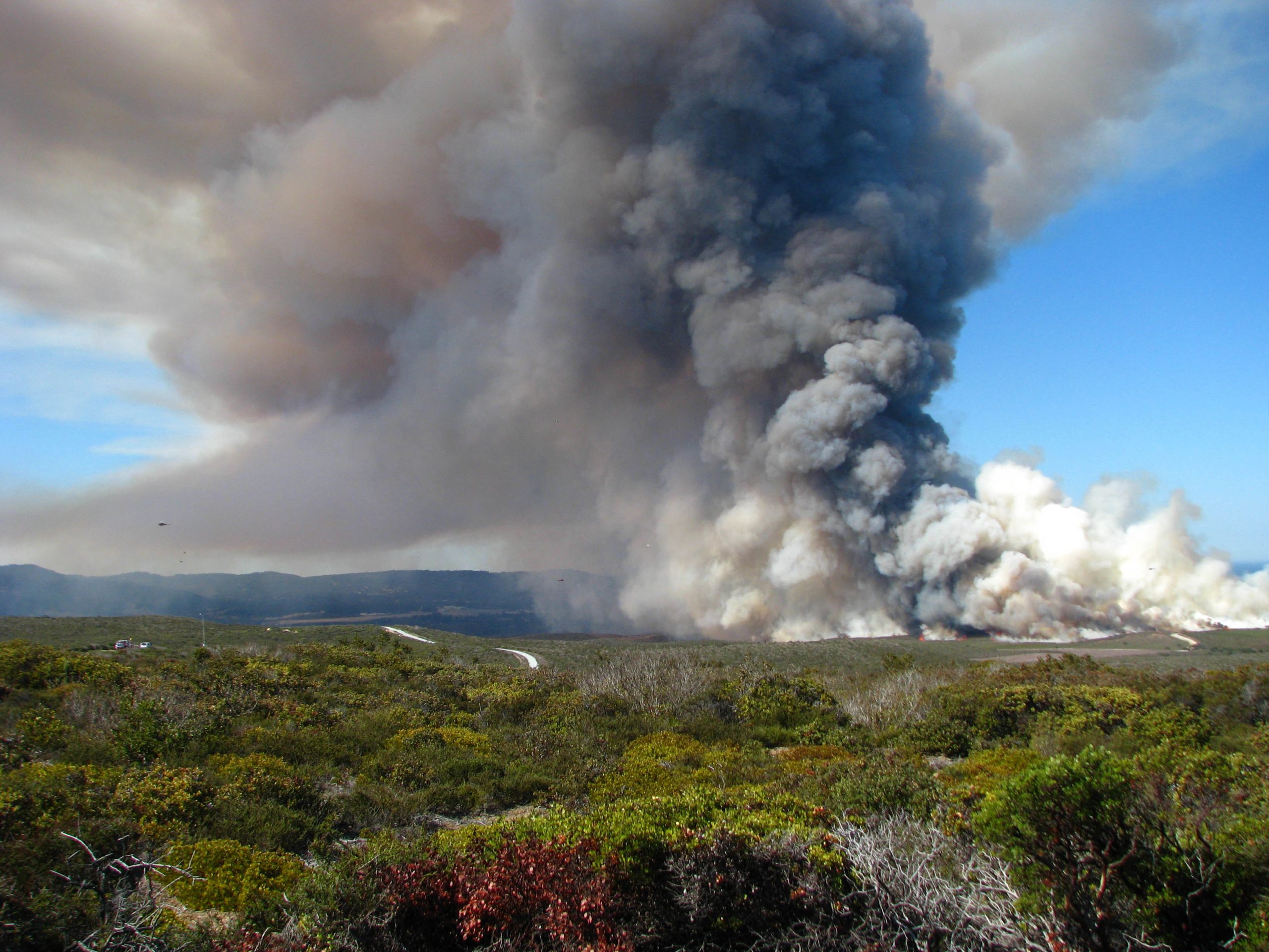 A controlled burn of central marine chaparral conducted by the U.S. Army Corps of Engineers at Fort Ord, Cal., on October 14, 2013. Credit, U.S. Army.