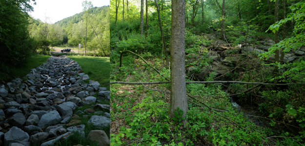 Clearly defining ‘restoration’ in law. Though mandates like the Clean Water Act have been powerful tools for instituting environmental protections in the United States, loose legal definitions of “restoration” mean that few mitigation projects install whole, functioning, and self-sustaining ecosystems. An Appalachian project with the narrow goal of restoring stream flow after mountaintop mining, for example, (left) delivers few of the resources of the natural ecosystem that was lost (right). Likewise, programs aimed at recovery of endangered species do not necessarily prioritize functional ecosystem recovery. Palmer and Ruhl examine the scientific and (U.S.) legal bases for ecological restoration and how the two may be more fruitfully unified in “Aligning restoration science and the law to sustain ecological infrastructure for the future,” on page 512 of this issue. Photo credit: E Bernhardt.