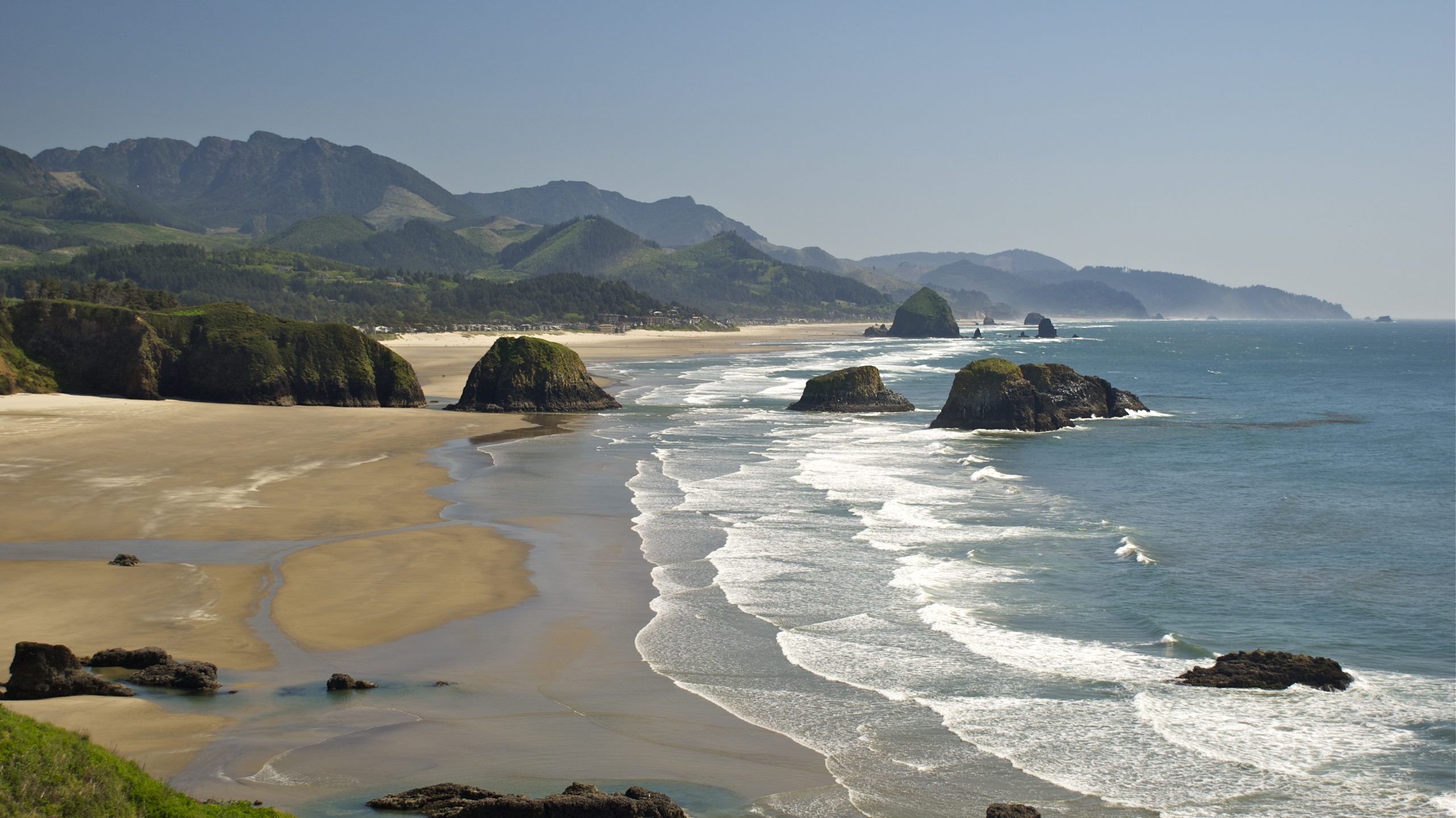 Looking towards Arch Cape, Oregon from Ecola State Park, large clear cuts are visible on the hillside above town. This year’s offset donation for travel to the Ecological Society of America Annual Meeting in Portland will be awarded directly to the Forest Program to support the Arch Cape and Rockaway Beach Pilot Projects, both community-driven efforts to acquire and manage the local drinking water source for the coastal towns. Credit, Sustainable Northwest.