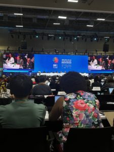  Conference taking place during the first week of activities at COP16 in Cali, Colombia.