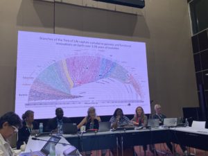 Presentation panel at COP16.