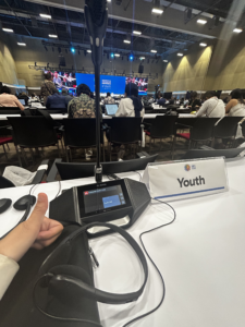 Plenary session at COP16 in the Youth Zone, October 2024, with a close-up of a hand giving a thumbs-up.