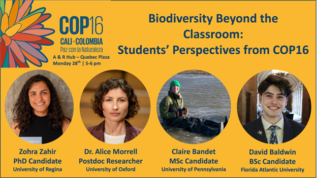 Poster for COP16 panel "Biodiversity Beyond the Classroom: Students Perspectives" with four student panelists from various universities, October 28, 2024, in Cali, Colombia.