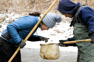 Ecologist and photographer Molly Mehling 