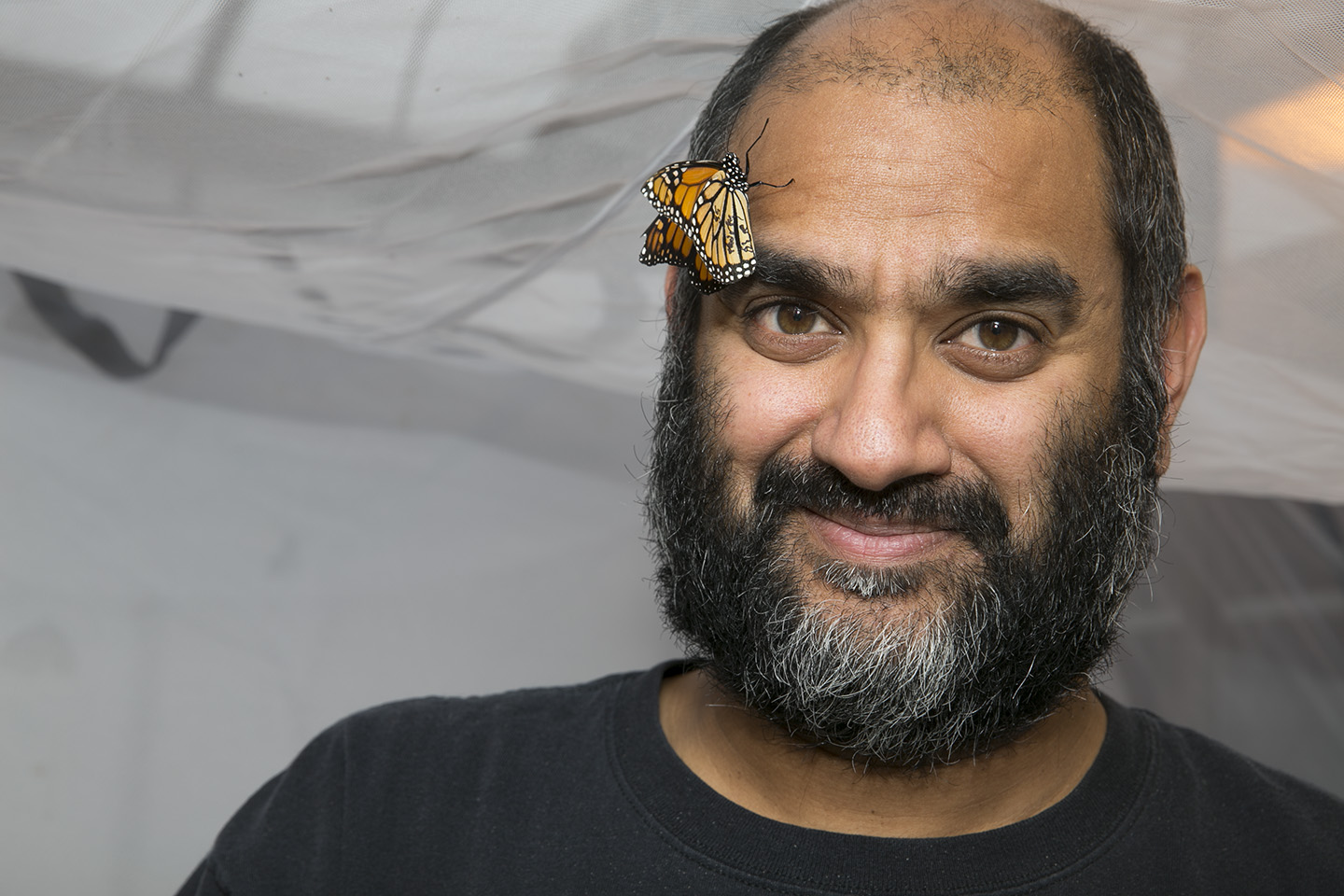 MacArthur Award winner Anurag A. Agrawal, with butterfly. Image credit, Frank DiMeo