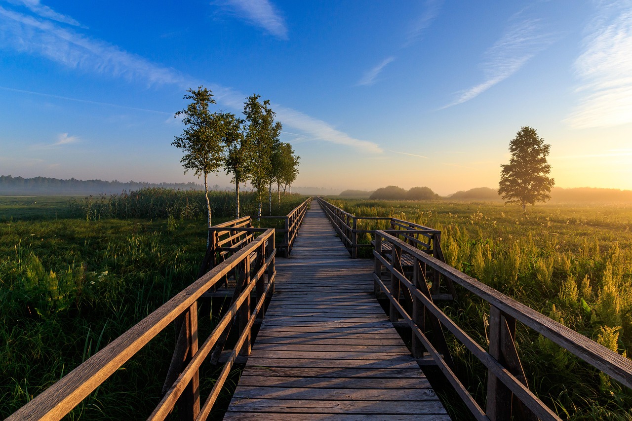 A long dock stretches across wetlands with a setting sun in the background.