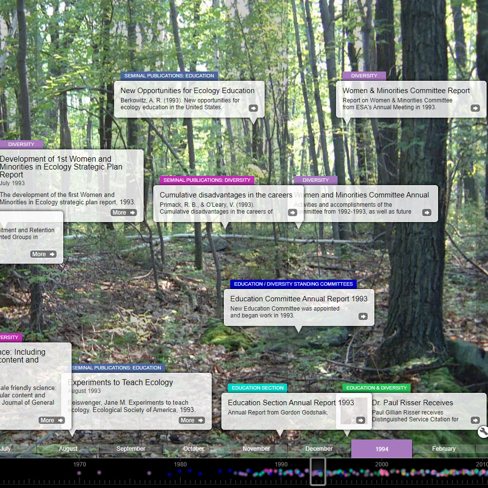 Thumbnail of our education and diversity timeline.