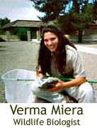 Verma Miera