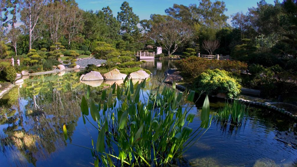 Japanese Garden.