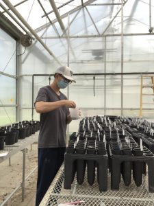 Photo of Yu Liu in greenhouse