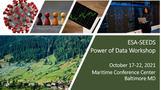 Power of Data workshop