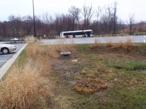 Bioretention Stormwater Management