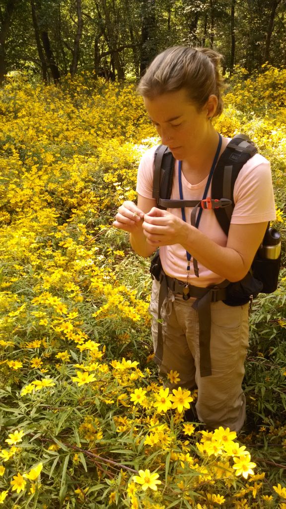 Portriat image of Elizabeth R. Matthews in the field