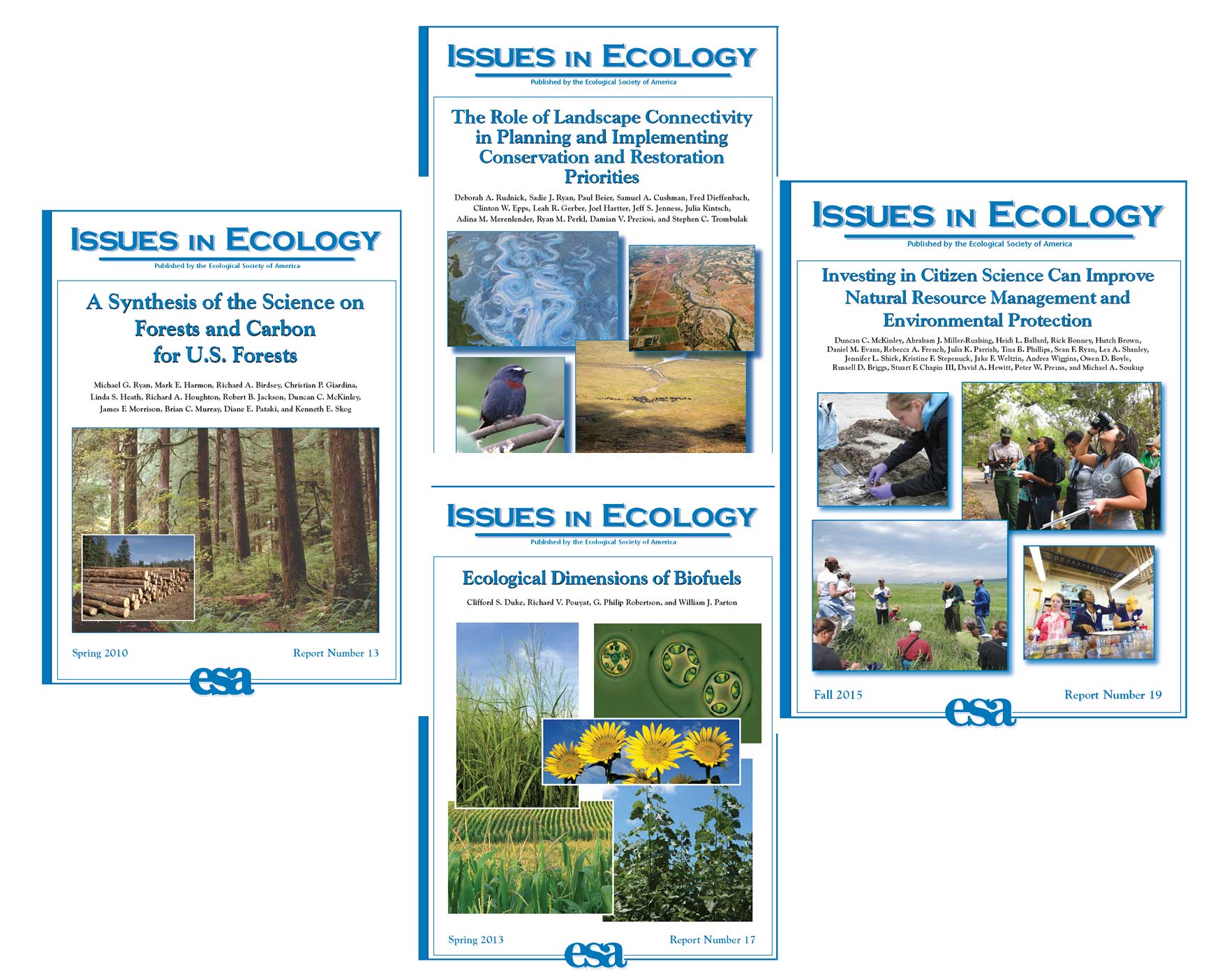 Issues In Ecology cover images