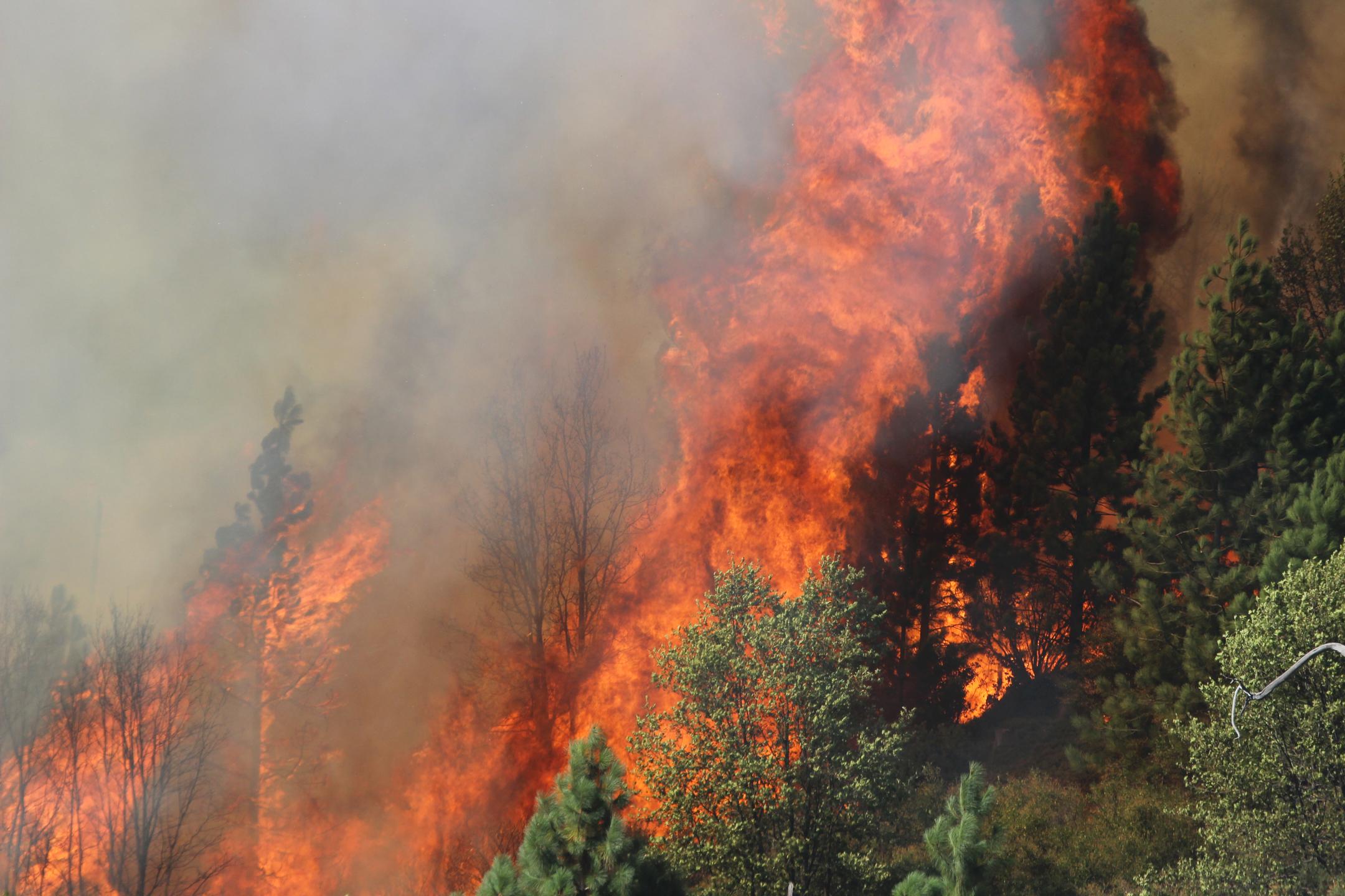 Rim Fire, California 2013. Mike McMillan, USFS.