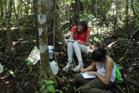 SEEDS students on the first regional field trip to Puerto Rico, in 2013.