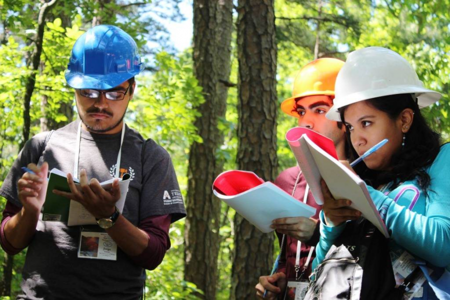 Three students stand in a forest in hardhats taking notes. 