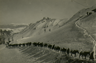 Baggage carried by horseback.